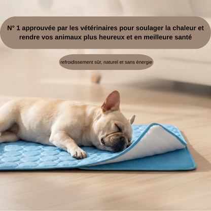Zenthis™ - tapis rafraîchissant