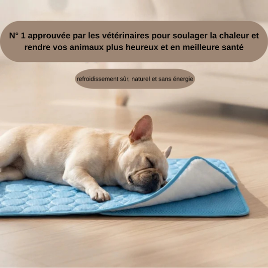 Zenthis™ - tapis rafraîchissant