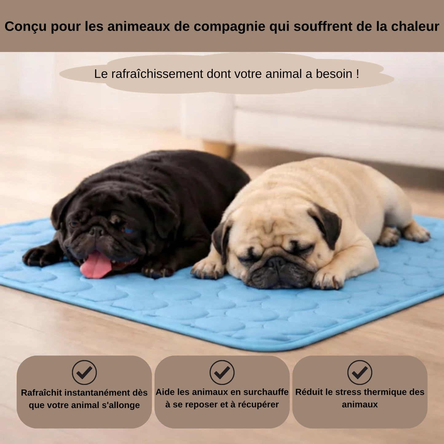 Zenthis™ - tapis rafraîchissant