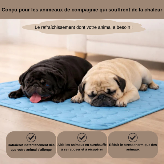 Zenthis™ - tapis rafraîchissant